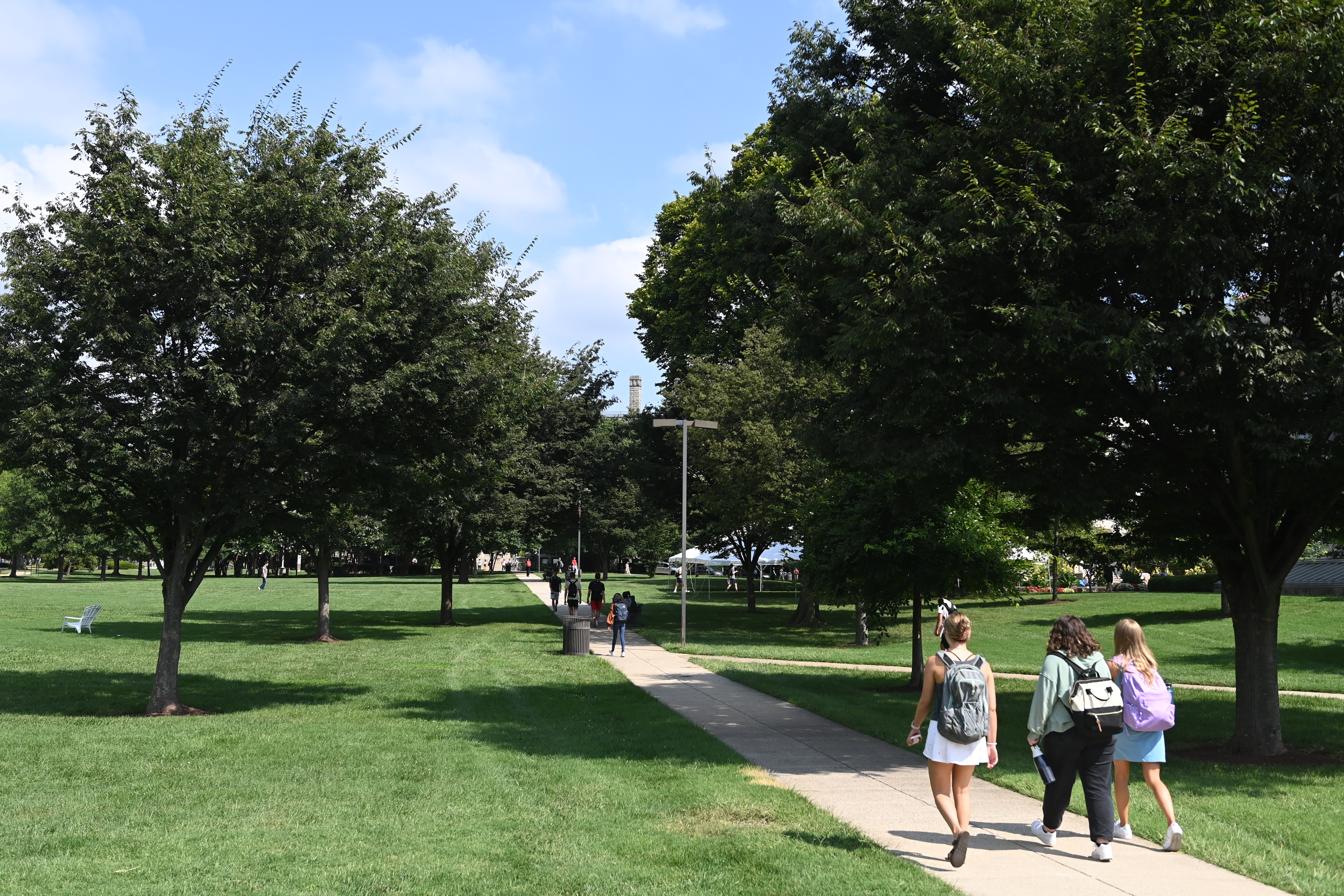 Green Roof on O'Connell Hall