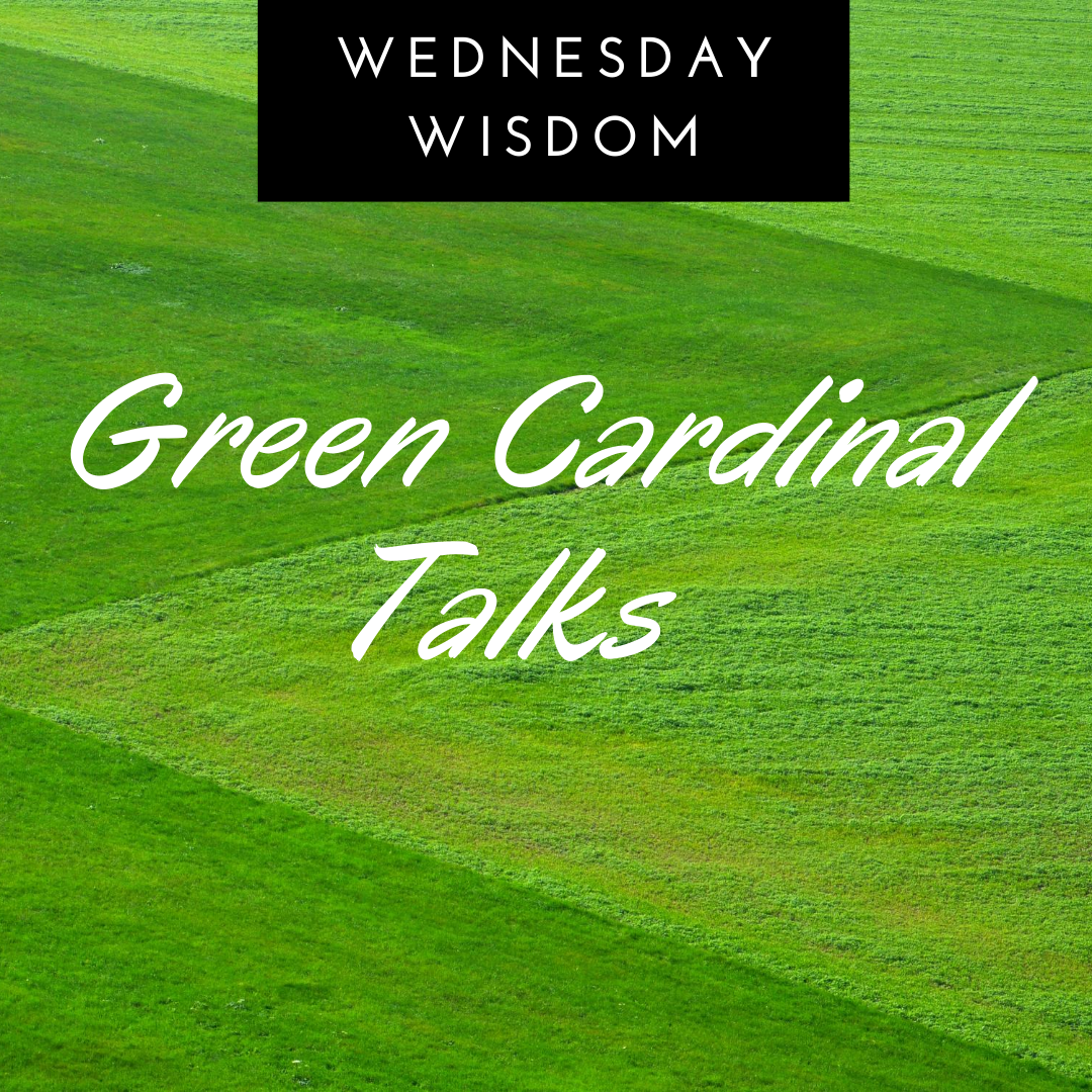 wednesday-wisdom-green-cardinal-talk.png