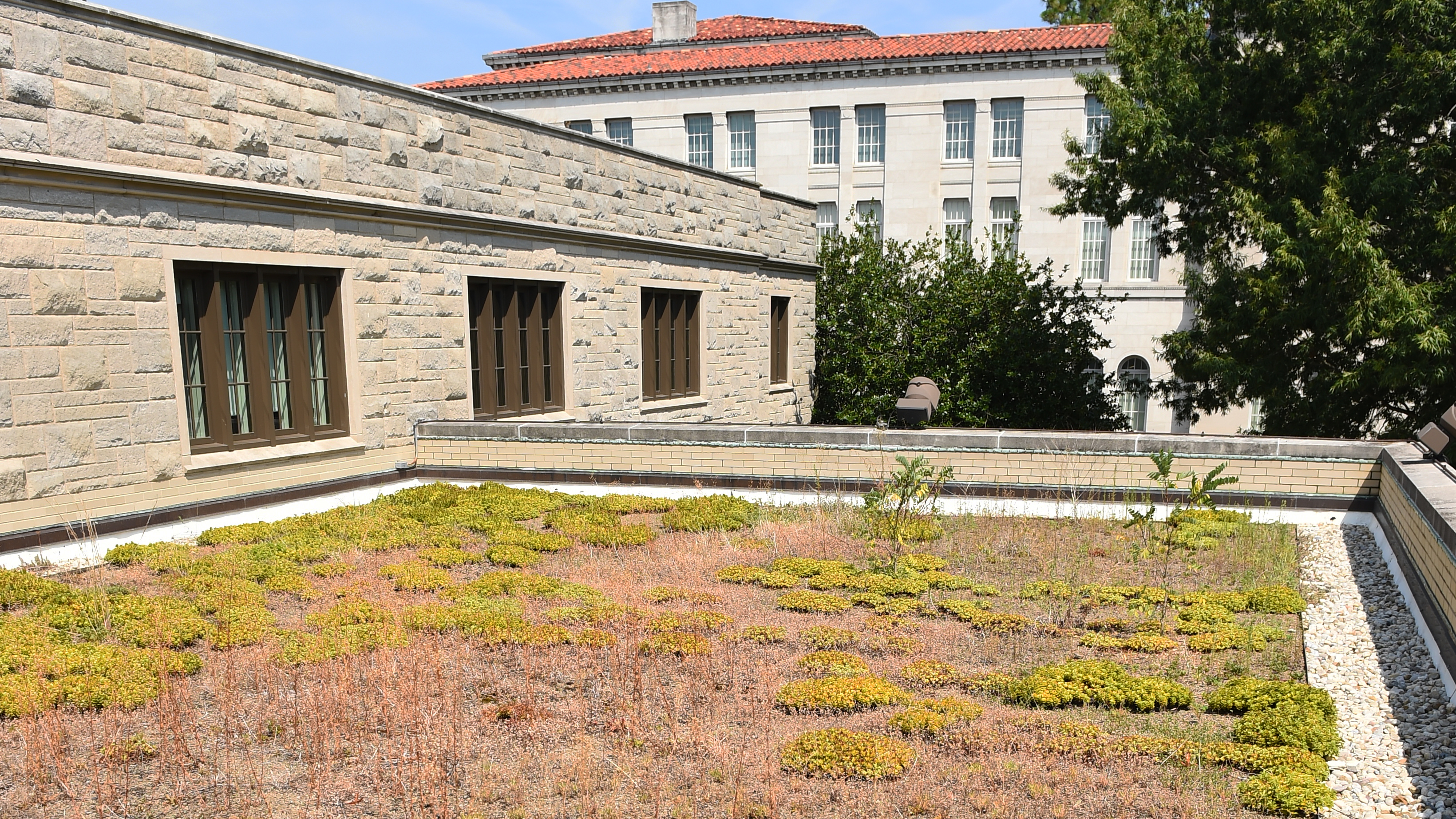 Green Roof on O'Connell Hall